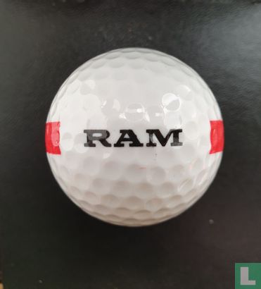 NO Logo RAM - Image 2