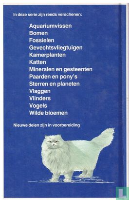 Katten - Image 2