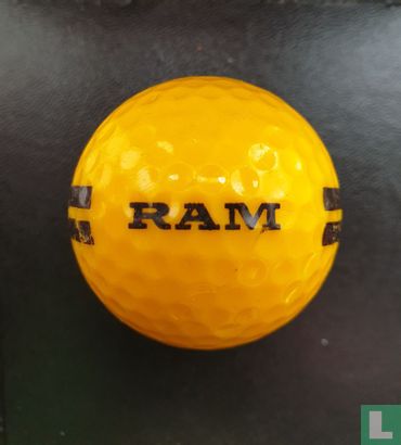 NO Logo RAM - Afbeelding 2