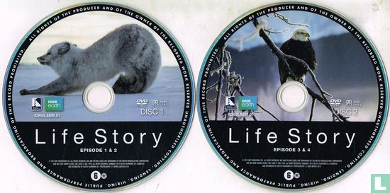 Life Story - Many Lives, One Epic Journey - Afbeelding 3