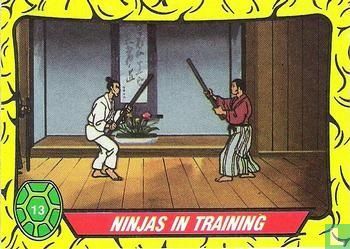 Ninjas in Training - Image 1