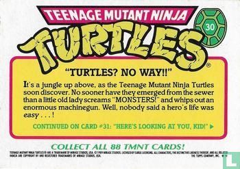 "Turtles? No Way!!" - Image 2