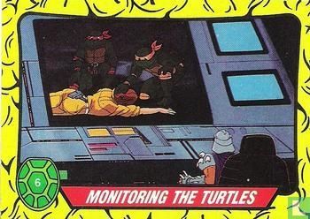 Monitoring the Turtles - Afbeelding 1