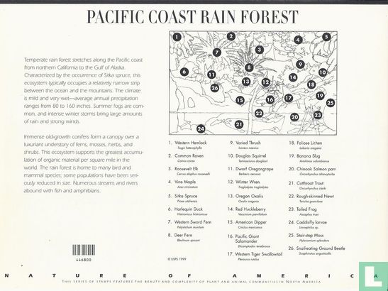 Pacific regenwoud - Afbeelding 2
