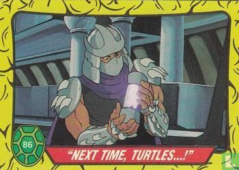 "Next Time, Turtles ...!" - Image 1