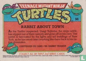 Rabbit About Town - Image 2