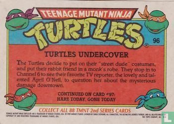 Turtles Undercover - Image 2