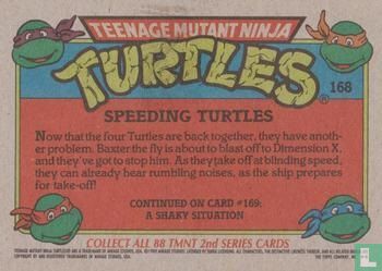 Speeding Turtles - Image 2