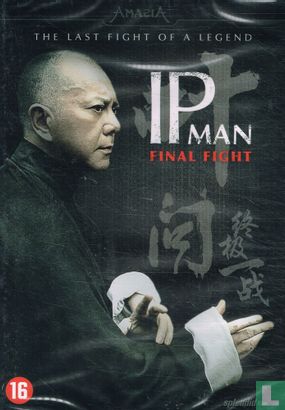 Ip Man Final Fight - Afbeelding 1