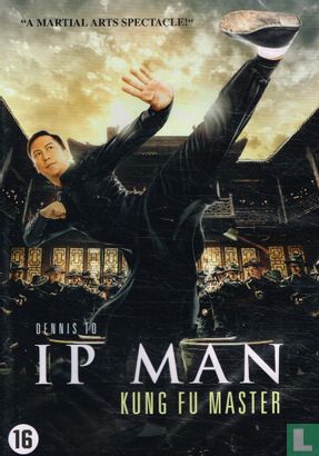 Ip Man Kung Fu Master - Image 1