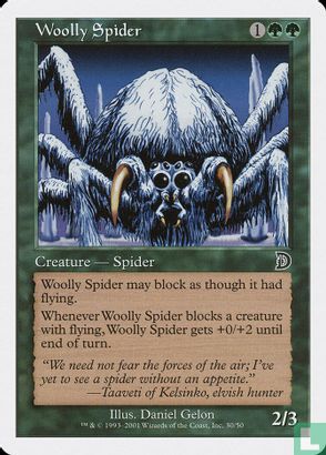 Woolly Spider - Afbeelding 1
