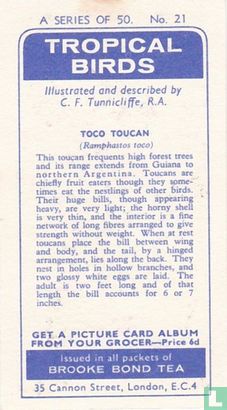 Toco Toucan - Afbeelding 2