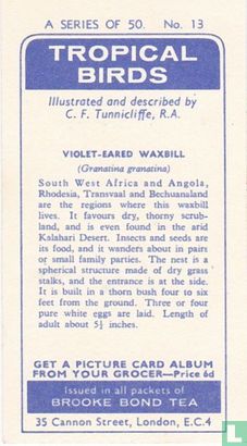 Violet-Eared Waxbill - Afbeelding 2