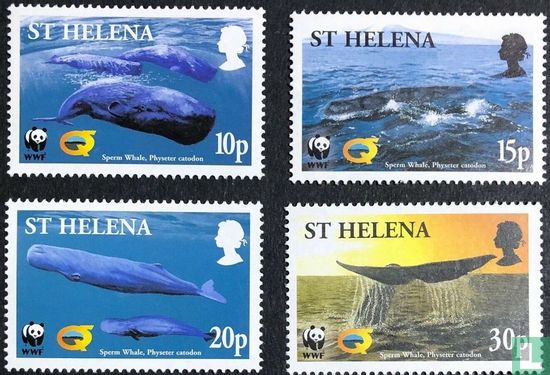 2002 baleines 