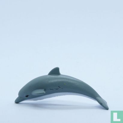 Dolphin - Image 3