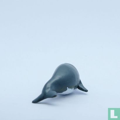 Baleine franche australe ou baleine australienne - Image 2