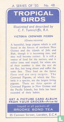 Victoria Crowned Pigeon - Afbeelding 2