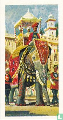 Elephant - Afbeelding 1