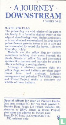 Yellow Flag - Image 2