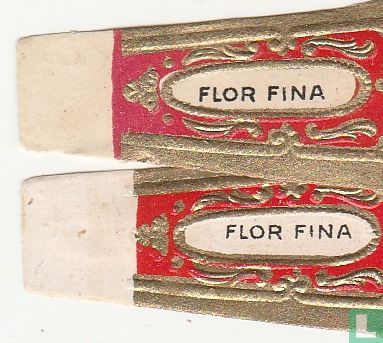 Roi Albert - Flor Fina - Flor Fina - Image 3