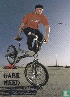 Gabe Weed - Image 1