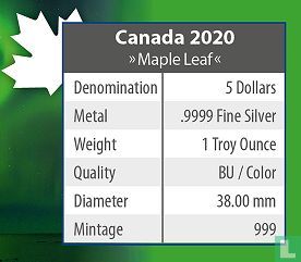 Canada 5 dollars 2020 "Polar lights - Yellowknife Yukon" - Image 3