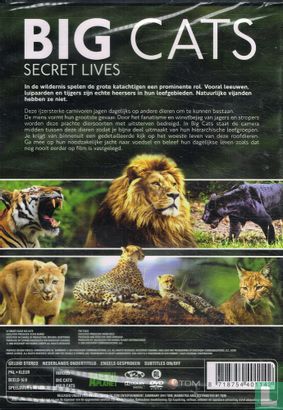 Big Cats - Secret Lives - Bild 2