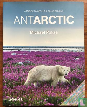 Antarctic - Image 1