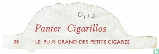 Panter Cigarillos - Le plus grand des petits cigares - Afbeelding 2