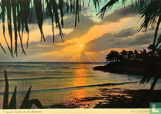 Tropical sunset - Afbeelding 1