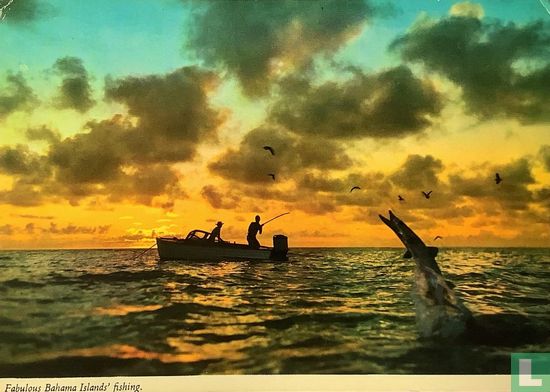 Fabulous Bahama Island’s fishing - Afbeelding 1