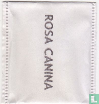 rosa Canina - Image 1