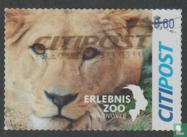 Citipost - Zoo Hanover