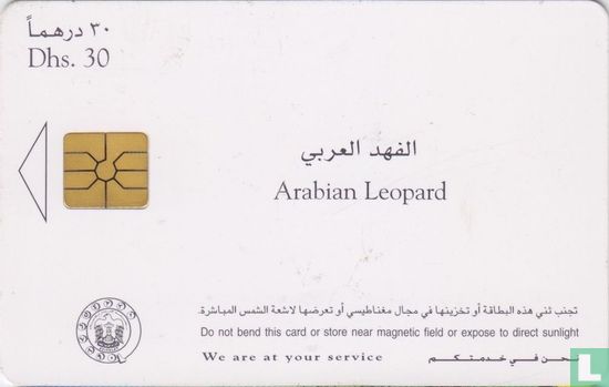 Arabian Leopard - Afbeelding 2