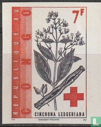 100 ans de la Croix-Rouge