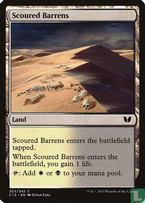 Scoured Barrens - Bild 1