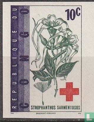 100 years of the Red Cross