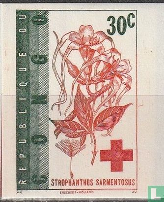 100 jaar Rode Kruis 