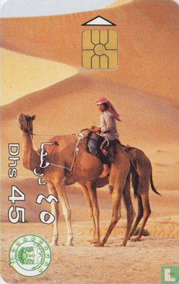 Arab Boy & Camel - Afbeelding 1