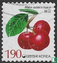 koreanischer Apfel