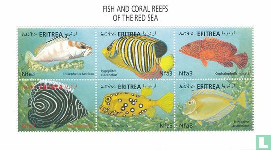 Fauna des Roten Meeres