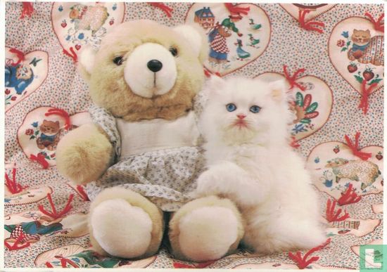 Wit langharige kitten met teddybeer - Image 1