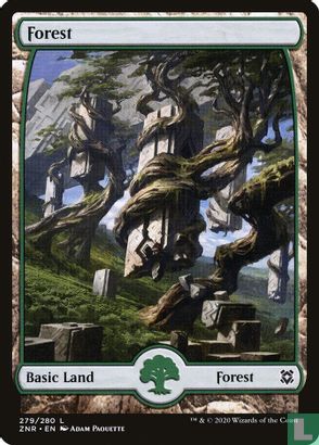 Forest - Afbeelding 1