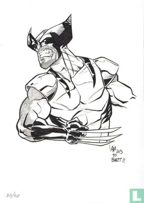 Sketches & Drawings : Wolverine