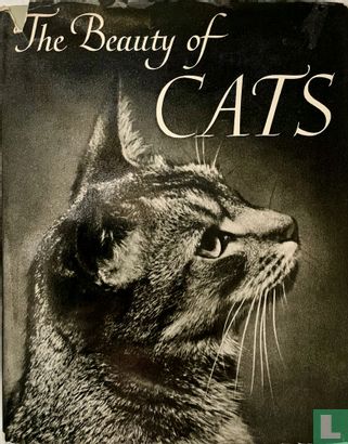 The beauty of Cats - Image 1