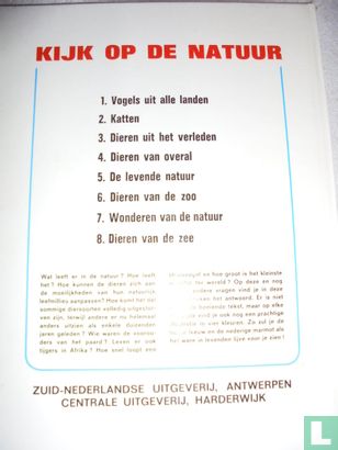 Katten - Image 2