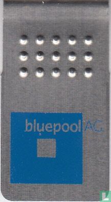 bluepool AG - Bild 1