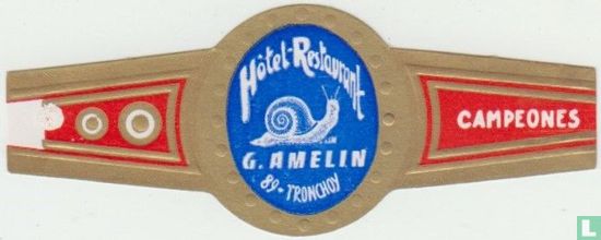 Hôtel-Restaurant G. Amelin 89-Tronchoy - Campeones - Afbeelding 1