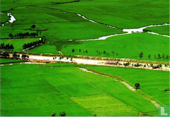 Green field - An Giang - Afbeelding 1