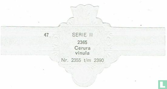 Cerura vinula - Afbeelding 2